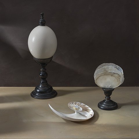 Naturalia 02