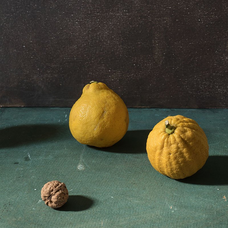 Deux bergamotes et noix